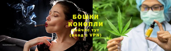 гашик Лагань