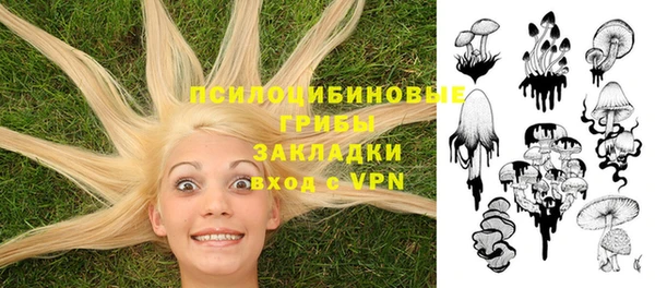 метадон Лабытнанги